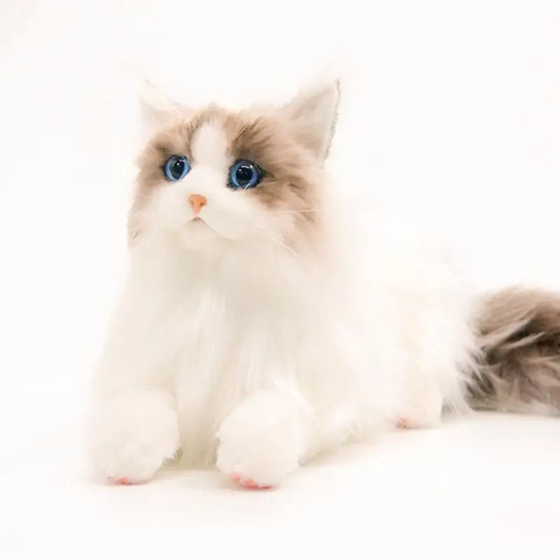 peluche-realiste-poupee-douce-chatons-en-peluche-cadeau-d'anniversaire-pour-enfants-et-adultes-materiau-universel-en-coton-pp-et-eva