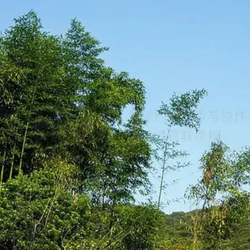 Geprc Gep-Vapor-X F… - image