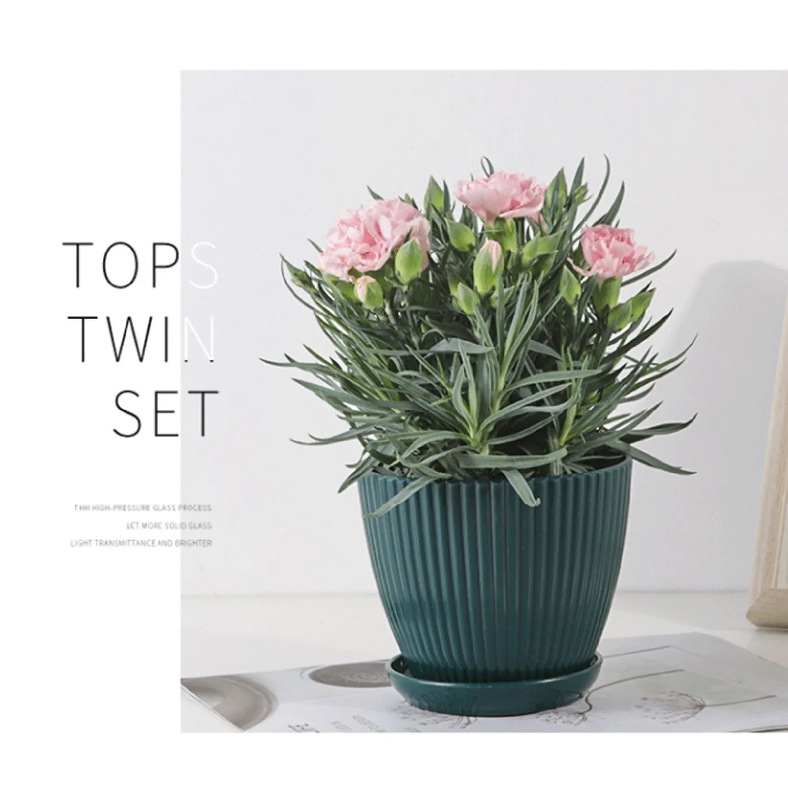 Solid Resin Planter Garden Pot with Two Drainage Holes for Living Room Office Patio