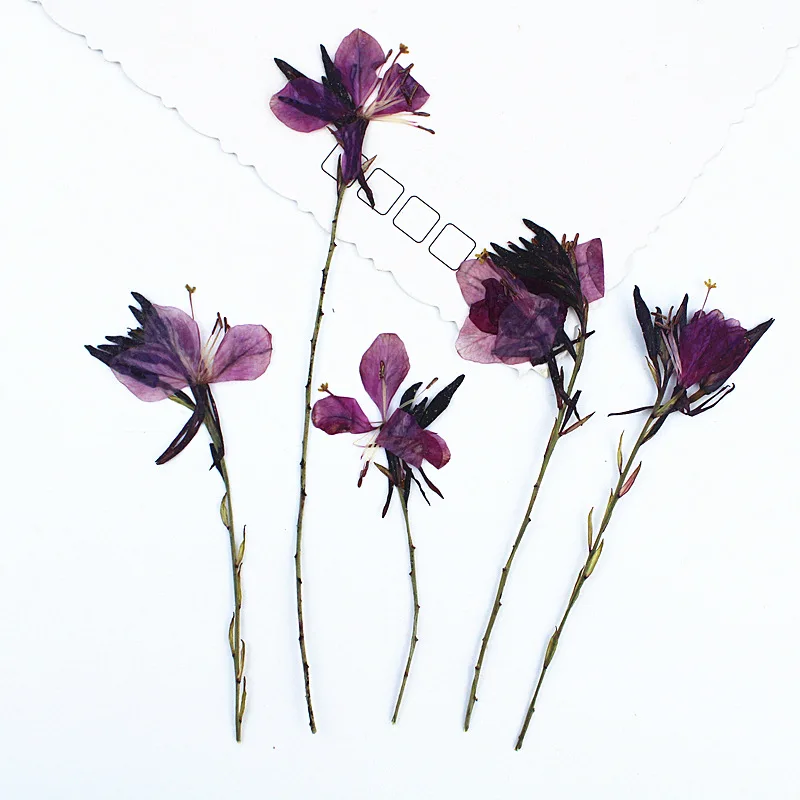 12pcs/5-9cm,nature Peach Dry Flower Branches,pressed Flower Handmade Epoxy Phone Case Scented Candle Greeting Card Bookmark