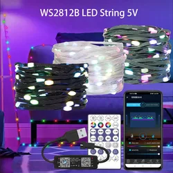 DC5V WS2812B RGB LED String zielony czarny przezroczysty drut adresowalny girlanda ślubna dekoracja świąteczne lampki kontroler USB