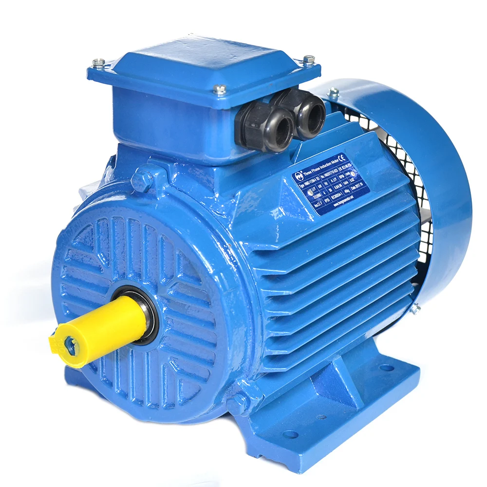 3KW Electric Motor GOST Certified 50Hz 220V AC Three-Phase with 100% Copper Winding Enclosed Protection