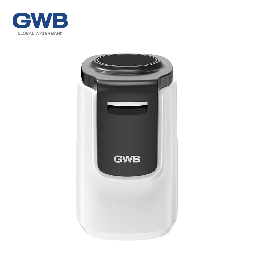 GWB GS1000 GS200 Electric Whole House Automatic Water Softener Machine 15W Cabinet Type Installation For Home Hard Water