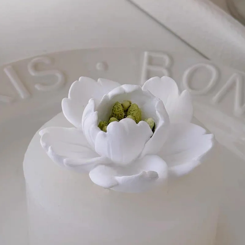 

3D Cherry Blossom Shape Aromatherapy Gypsum Crafts Silicone Mold Flower Plaster Ornament Car Decoration Scentd Candle Molds