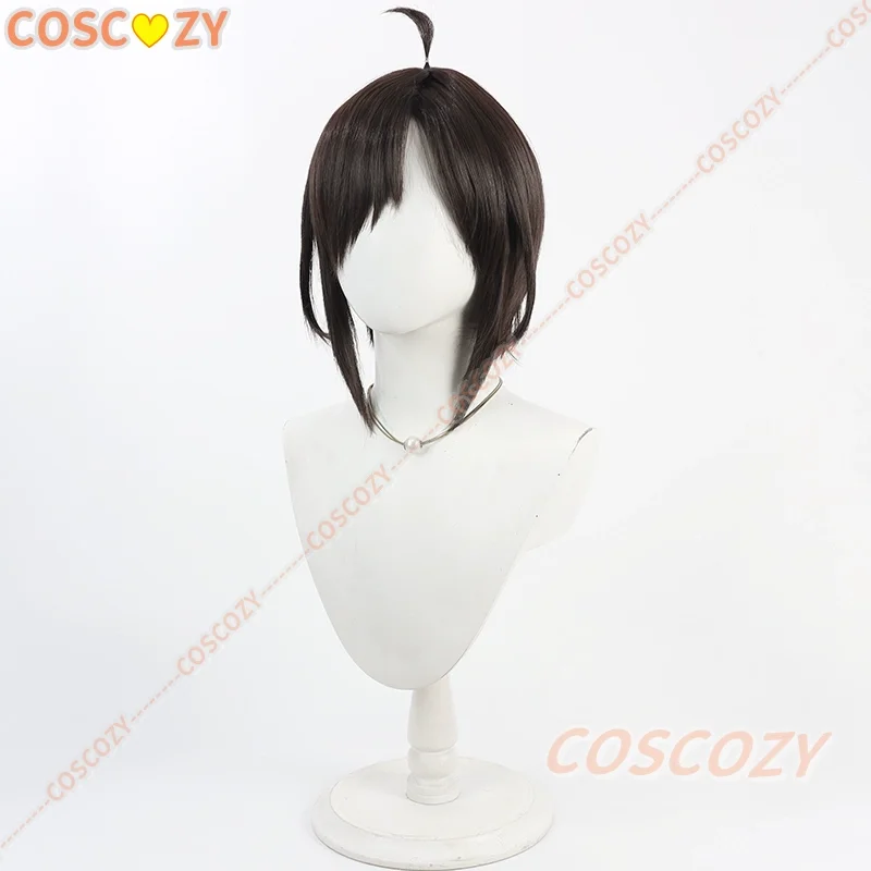 Fate fgo misterioso ranmaru x peruca cosplay misterioso ranmaru x 30cm curto marrom escuro peruca resistente ao calor cabelo sintético dia das bruxas
