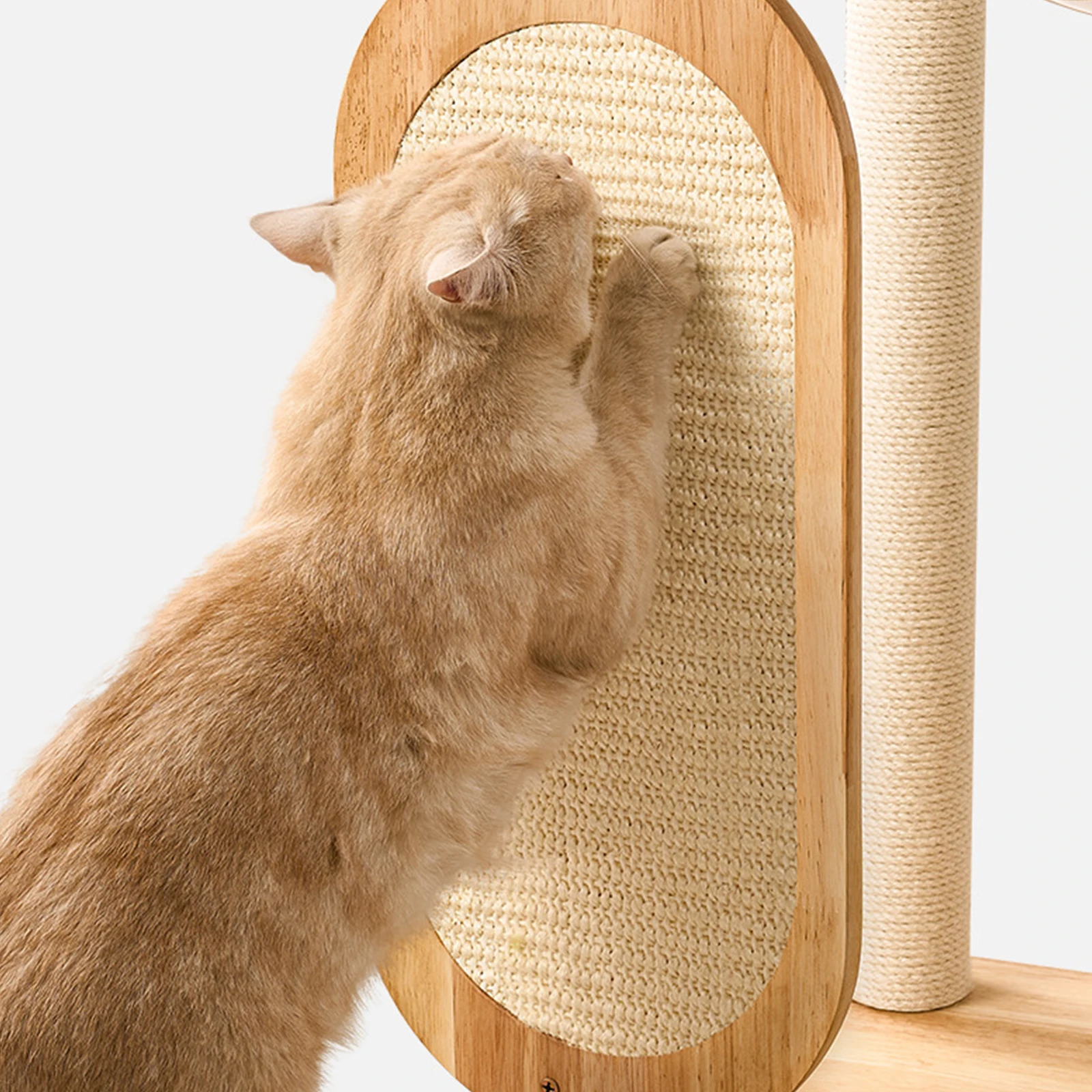Large Multi Cat Climbing Frame with Scratching Posts