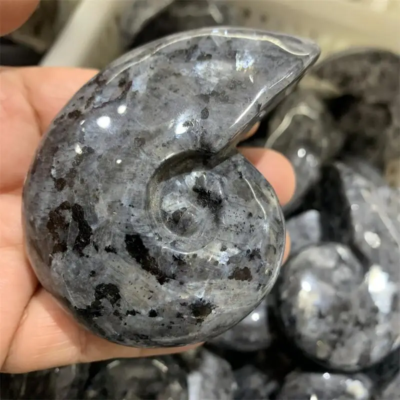 Natural Larvikite Snail Shell Carving Chakra Reiki Healing Statue Fengshui Home Decor Gift - Unique Shell Sculpture view 2