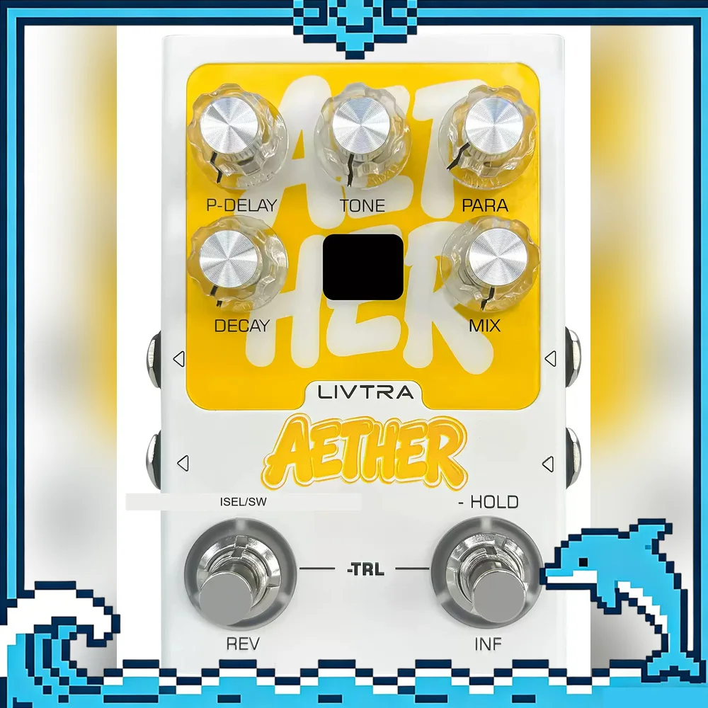 LIVTRA AETHER Stereo Reverb Guitar Effects Pedal 9 Algorithms Infinite Hold USB C Audio Interface For Gifts