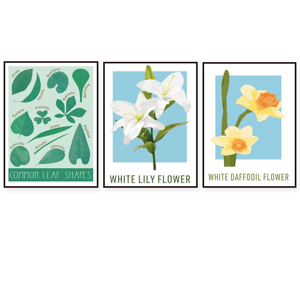 Spring tulips, spring daffodils, spring lilies, white flower print, flower nursery art, leaf print, educational leaf poster