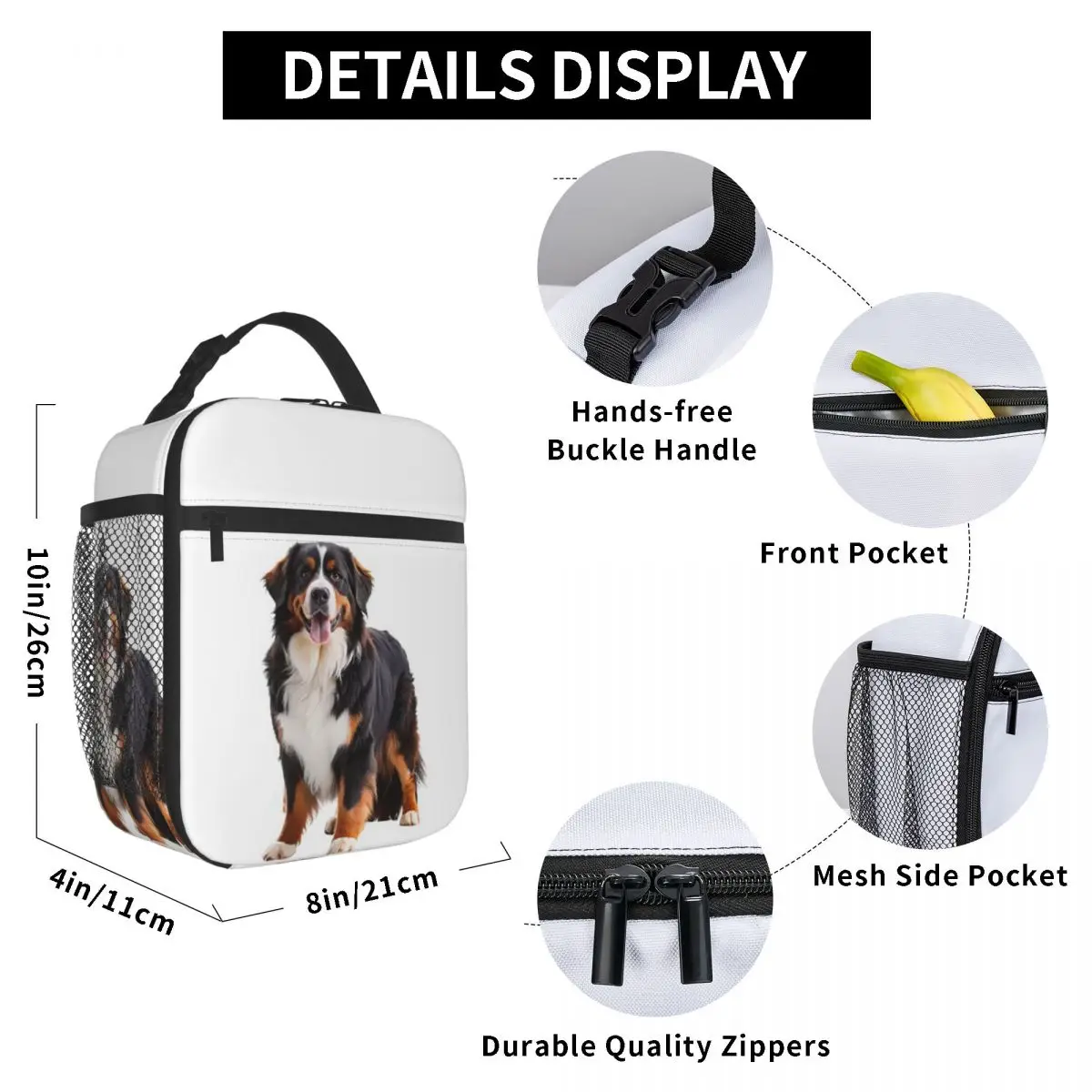 Van Gogh Style Painting Of Bernese Mountain Dog Insulated Lunch Bag for Kids School Cooler Thermal Food Box Tote Lunch Boxes