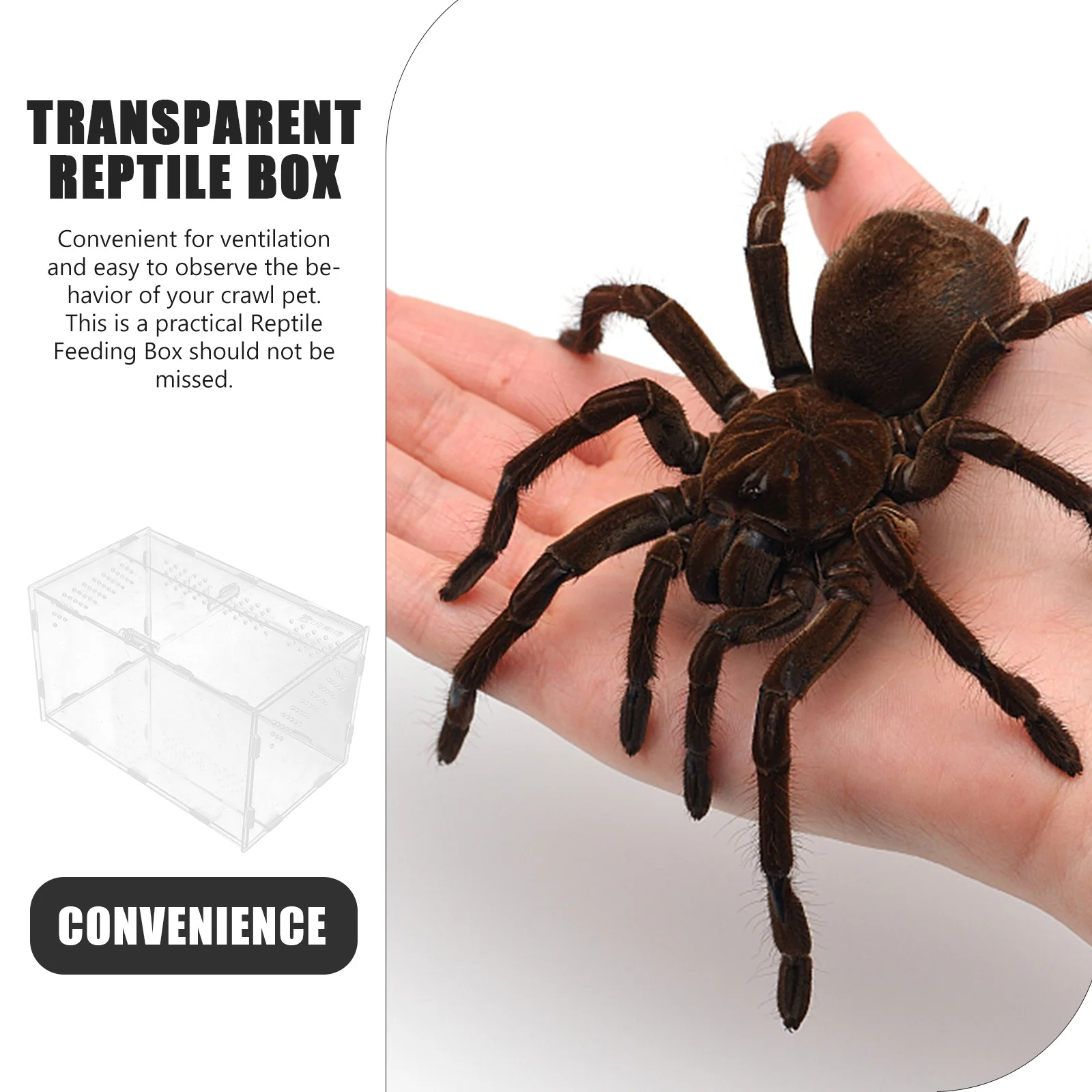 

Multi-Function Reptile Breeding Box Acrylic Transparent Cage Suitable for Turtle Snake Gecko Spider Scorpion Hermit Crab