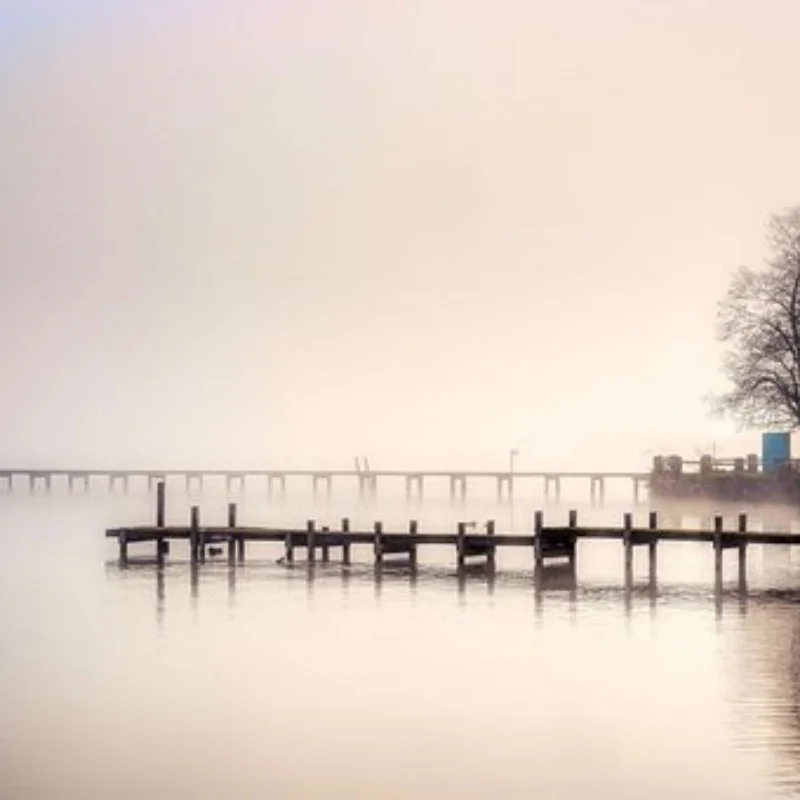 

4 шт. 62 мм 1,2 "набор шин из углеродного волокна с бисером для 1/18 1/24 RC гусеничного автомобиля TRX4M SCX24 AX24 FCX24, обновленные детали