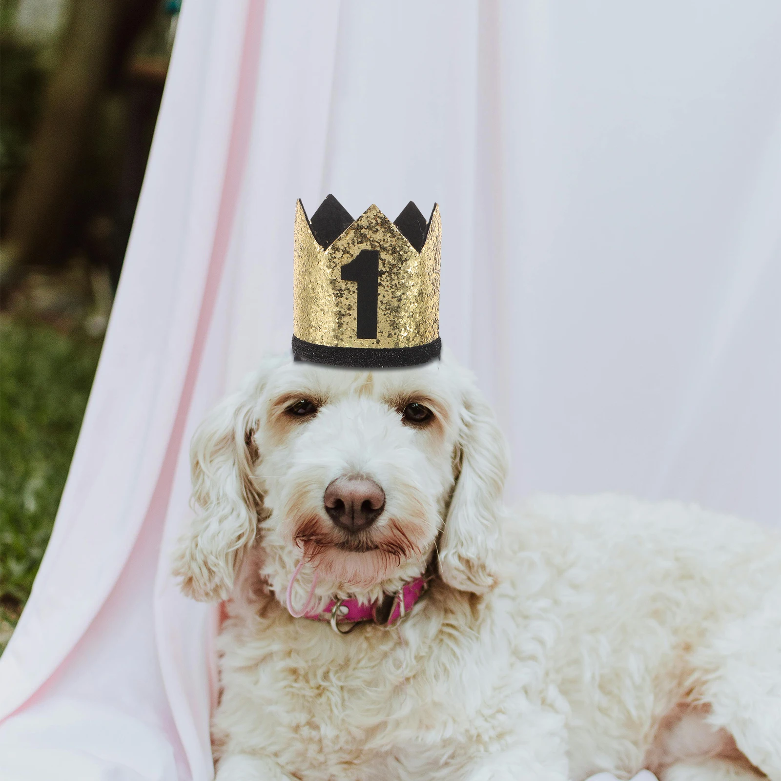 

Pet Birthday Hat Dog Decorations Boy Cat Crown Animal Party Hats Makeup Costume Props Baby