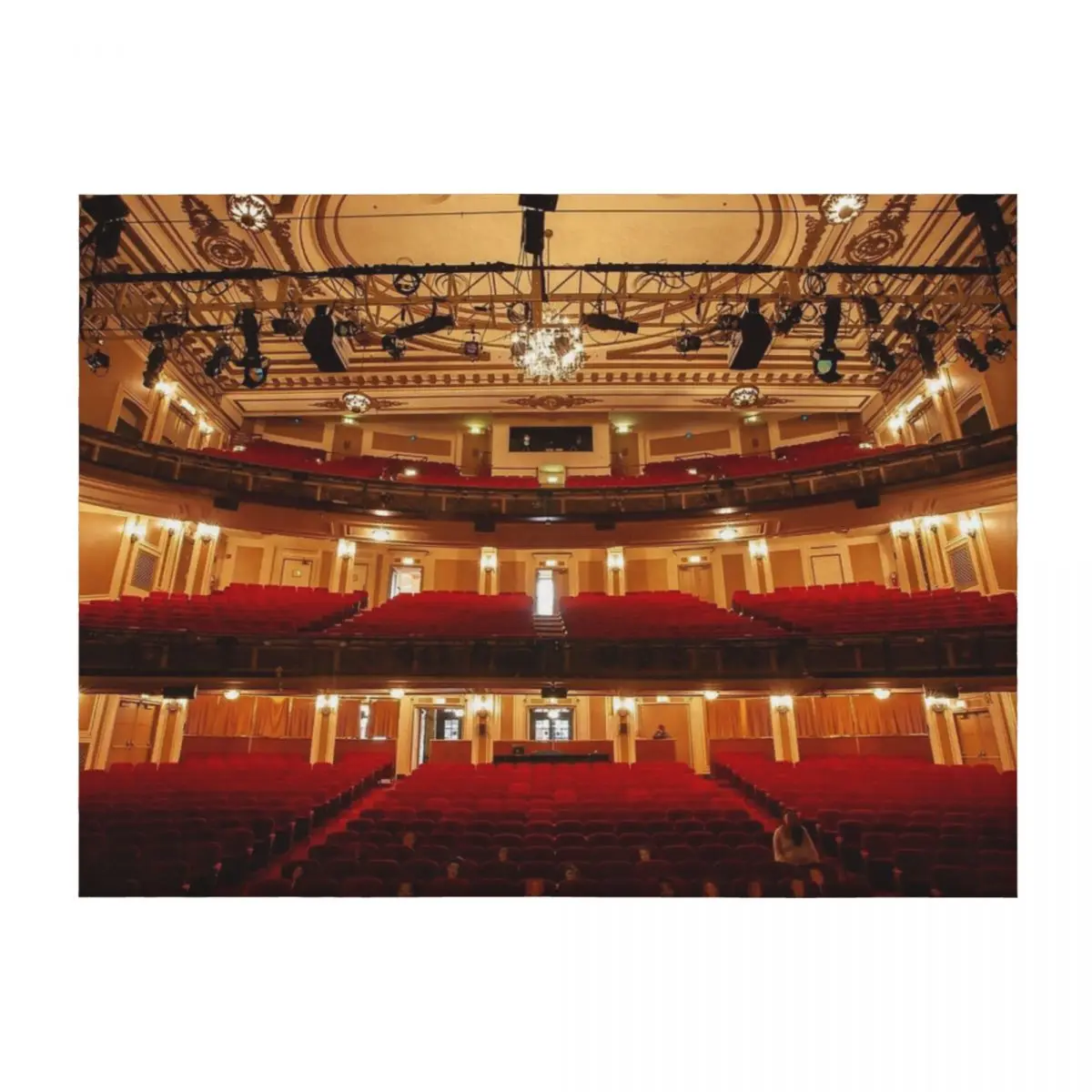 

DePaul University Merle Reskin Theatre Throw Blanket Hair Quilt For Sofa Thin Plush Blankets