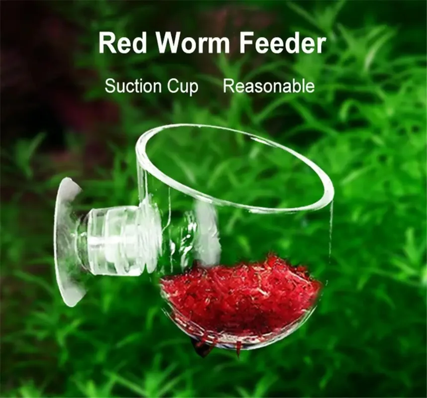 

Aquarium Fish Feeders Acrylic Waterweed Cup with Suction Holder Mini Gardening Vase Red Worm Feeder For Fish Tank