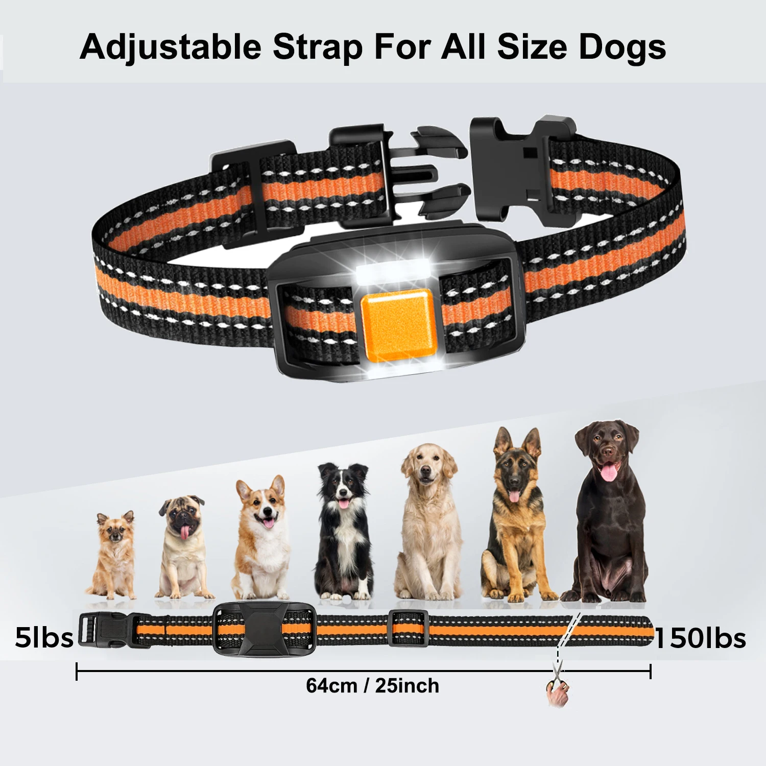 Thumbnail 4 - #1 Trending Puppy Training Right Now