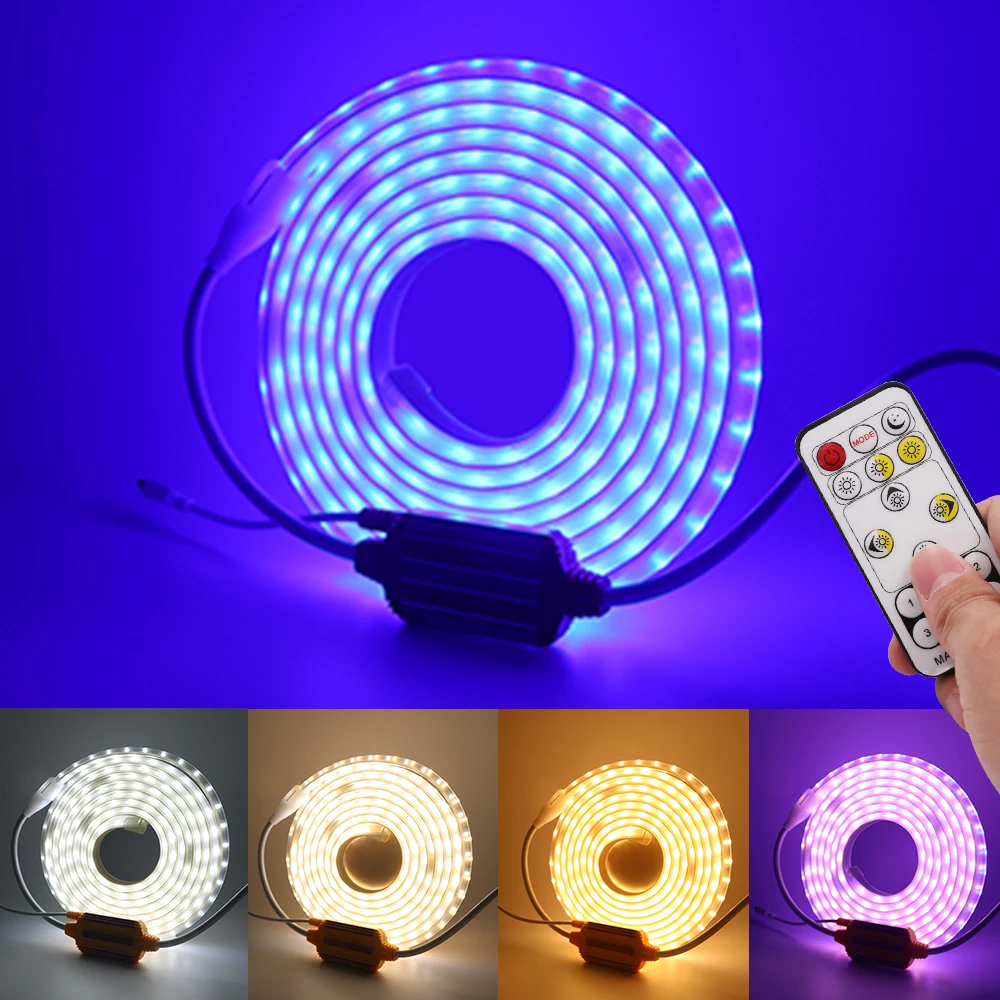 

220V LED Strip Lights Remote Control Dimmable Flexible Waterproof Diode Tape Ribbon Lamp White+Warm White/Blue+Warm White