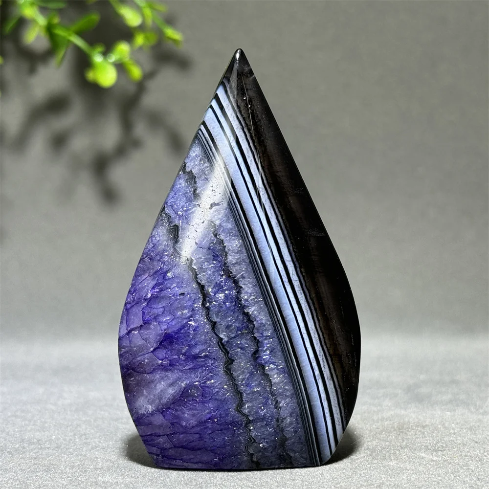 �y�Z�[�����z�V�R������t���[�t�H�[���g�[�`�X�s���`���A���q�[�����O�ґz���C�L���p�G�l���M�[�z�[���I�t�B�X���������M�t�g