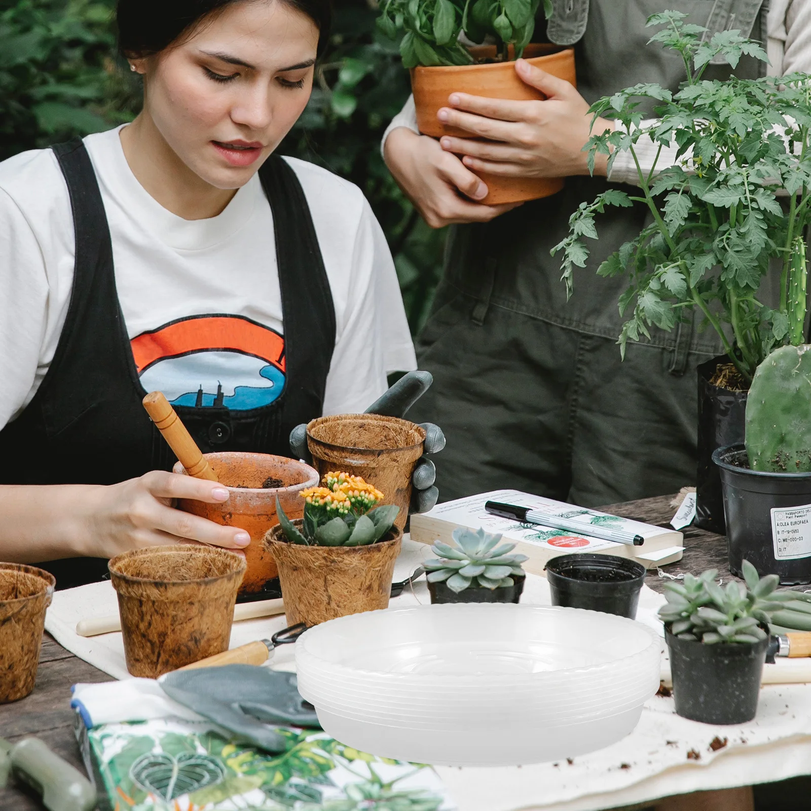 

8Pcs Plastic Plant Saucer Clear Flowerpot Tray Base for Indoor Outdoor Garden Balcony Bonsai Flowerpot Tray Planter Saucer