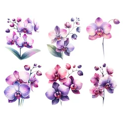 Moth orchid flower Heat Transfer Thermal for Clothing Heat Transfer iron on transfer for clothing Iron On Patches For Clothing