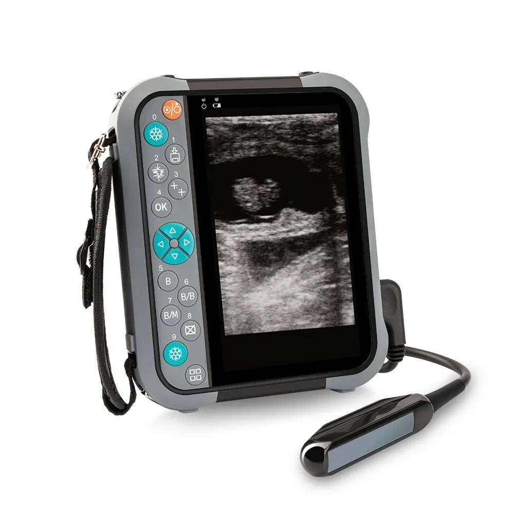 Portable Mini Ultrasound Veterinary Vet Rectal Linear Probe Ultrasound For Farm Cattle Use