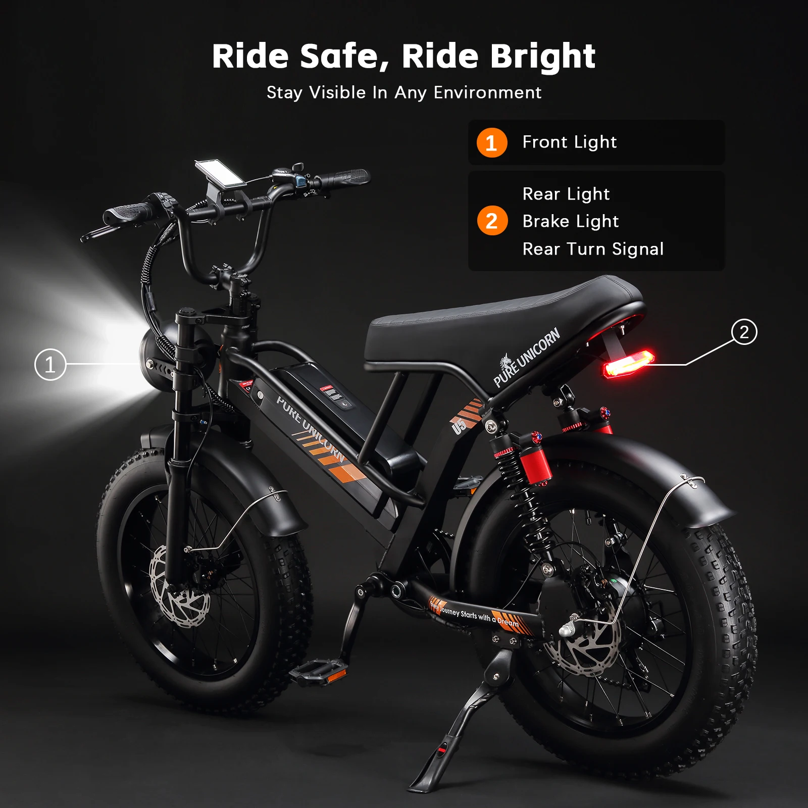 Fat Tire Elektrofahrrad 48V 1000W 19,2Ah Langstrecken-E-Bike für Herren 45KM/H 20 Zoll Moped-Style Mountain E-Bike – Detail 9