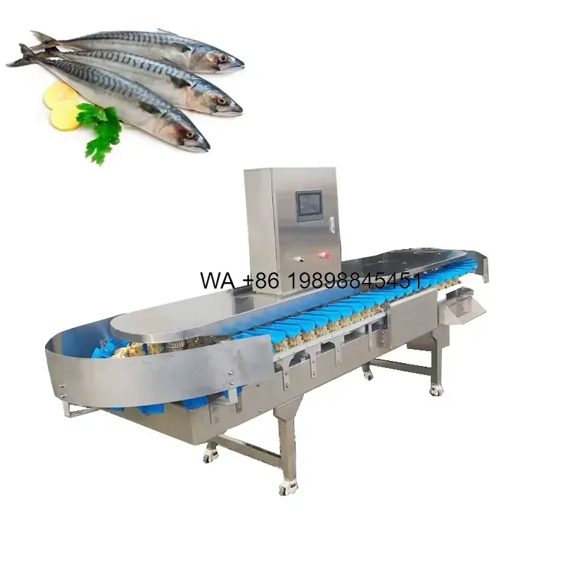 Wmwmnu Multi Function Trout Catfish Anchovy Fish Sorting Grader Factory Price