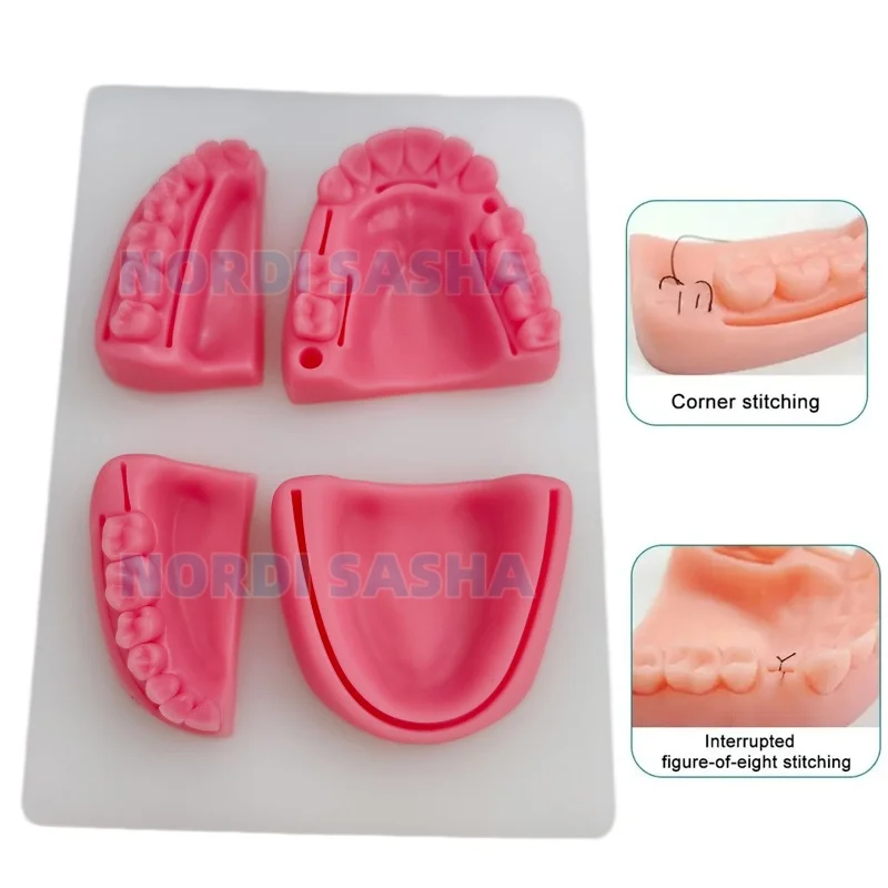 4Pcs/Set Dental Oral/Gingival Suture Module Practice Suture Training Model Oral Suturing Teaching Model With Base Plate