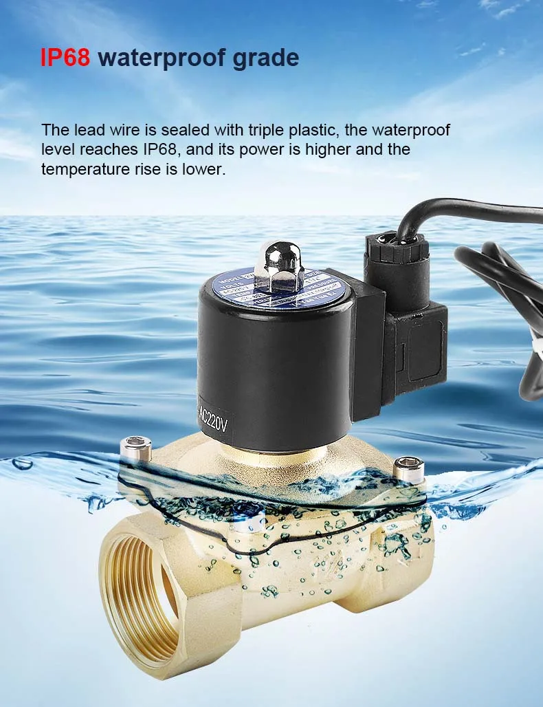 2" Messing Unterwasser Magnetventil Brunnen Magnetventil Wasserventil 220V 12V 24V – Detail 4