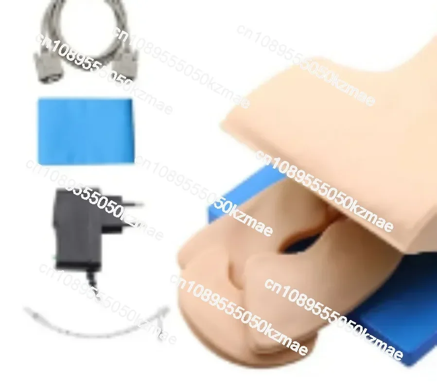Electronic Airway Management Trainer Adult Intubation Manikin Teaching Model 110-220V Tracheal Intubation Simulator