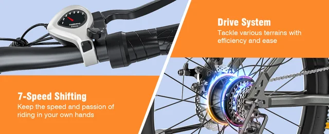 Electric Bicycles-T6