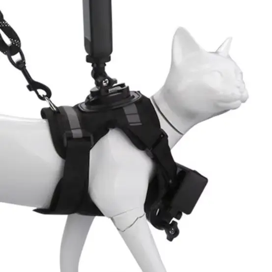 1pcs Pet Cat Vest Photo Stand For Action For Cameras Pet Vest Photo Stand First-person Dual-camera Cats Black Accessories