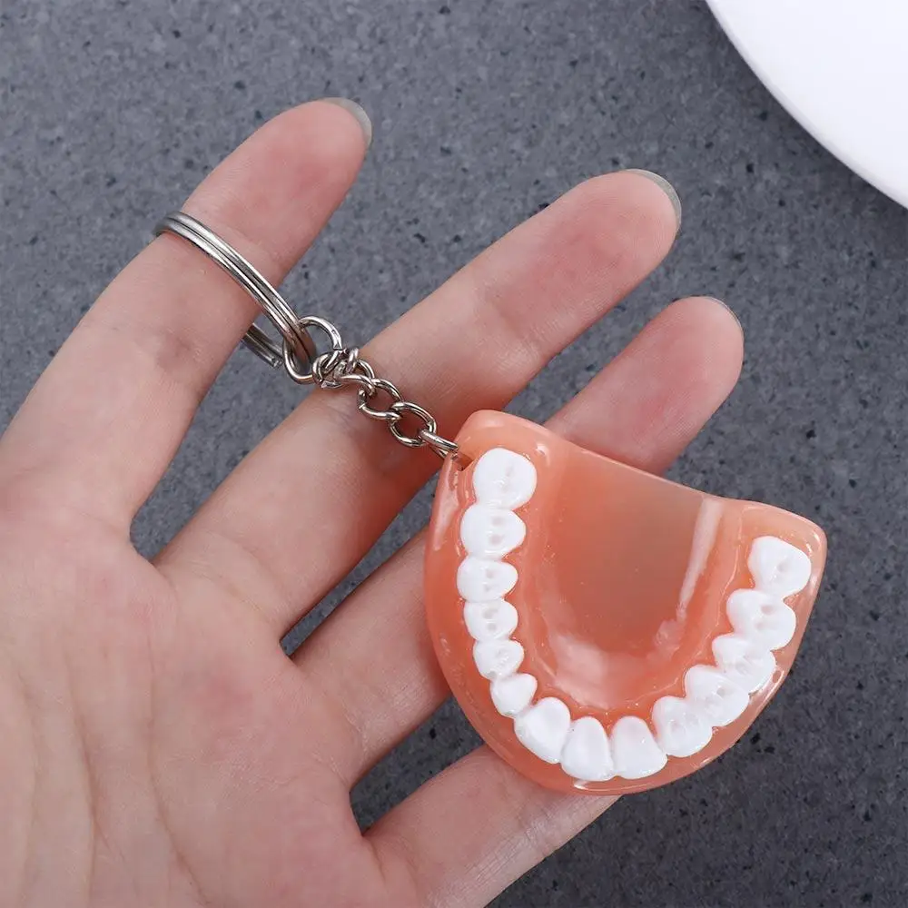 Creative Dental Decoration Simulation Resin Upper Jaw Teeth Pendant Teeth Keyring Denture Key Chain Tooth Key Chain