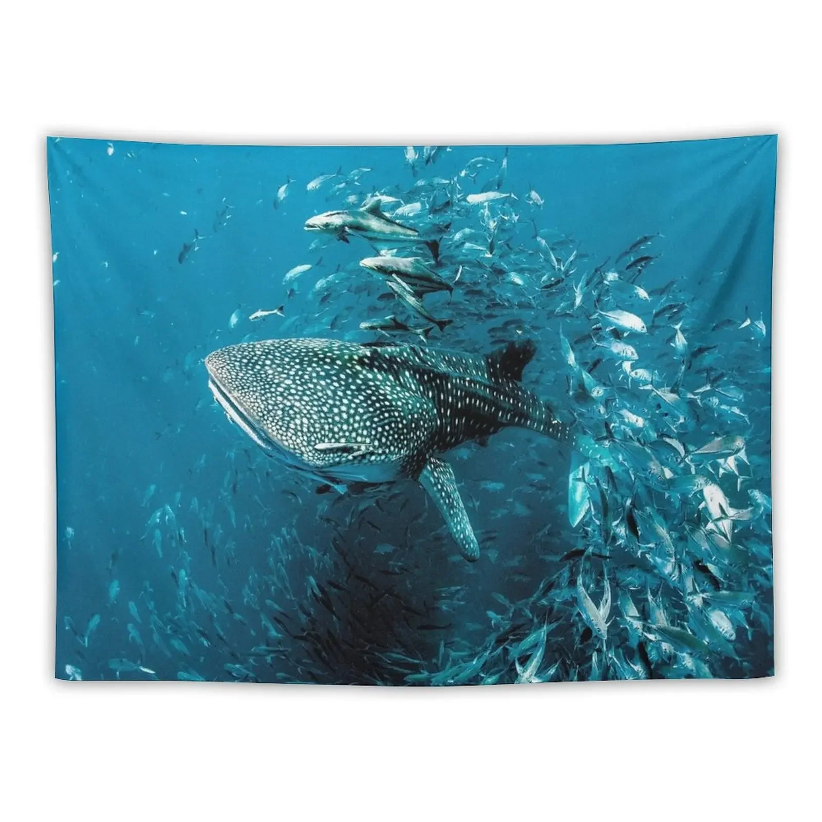 

Whale Shark Award Winning Photo Tapestry Wall Hanging Decor Christmas Decoration Decor For Bedroom Tapestry