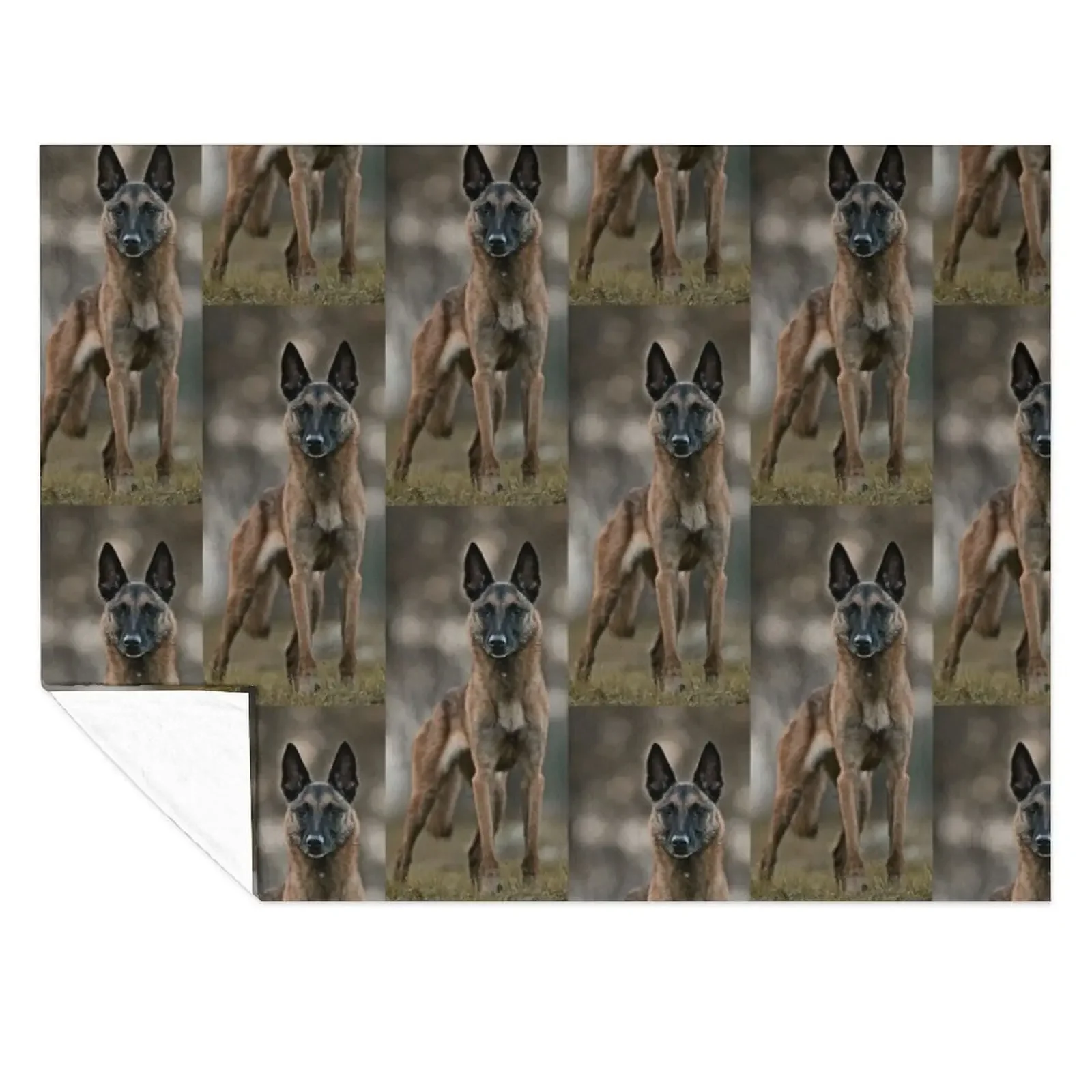 

belgian shepherd malinois amazing Throw Blanket Hair christmas decoration Soft Beds sofa bed Blankets