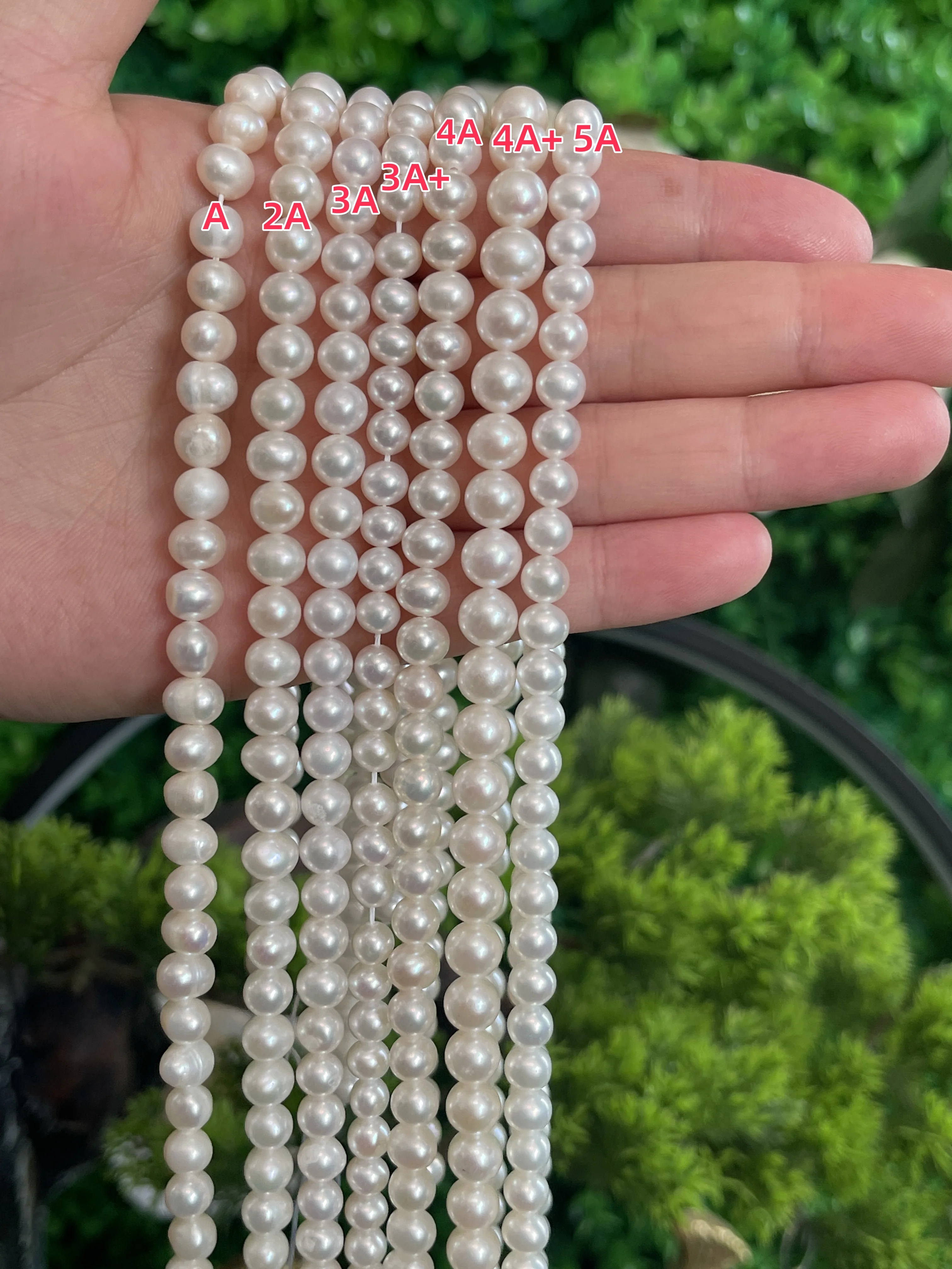 Natural Freshwater Pearl Beads 1A-6A Quality Round Loose White Pearls Bead for DIY Women Necklace Bracelet Jewelry Making