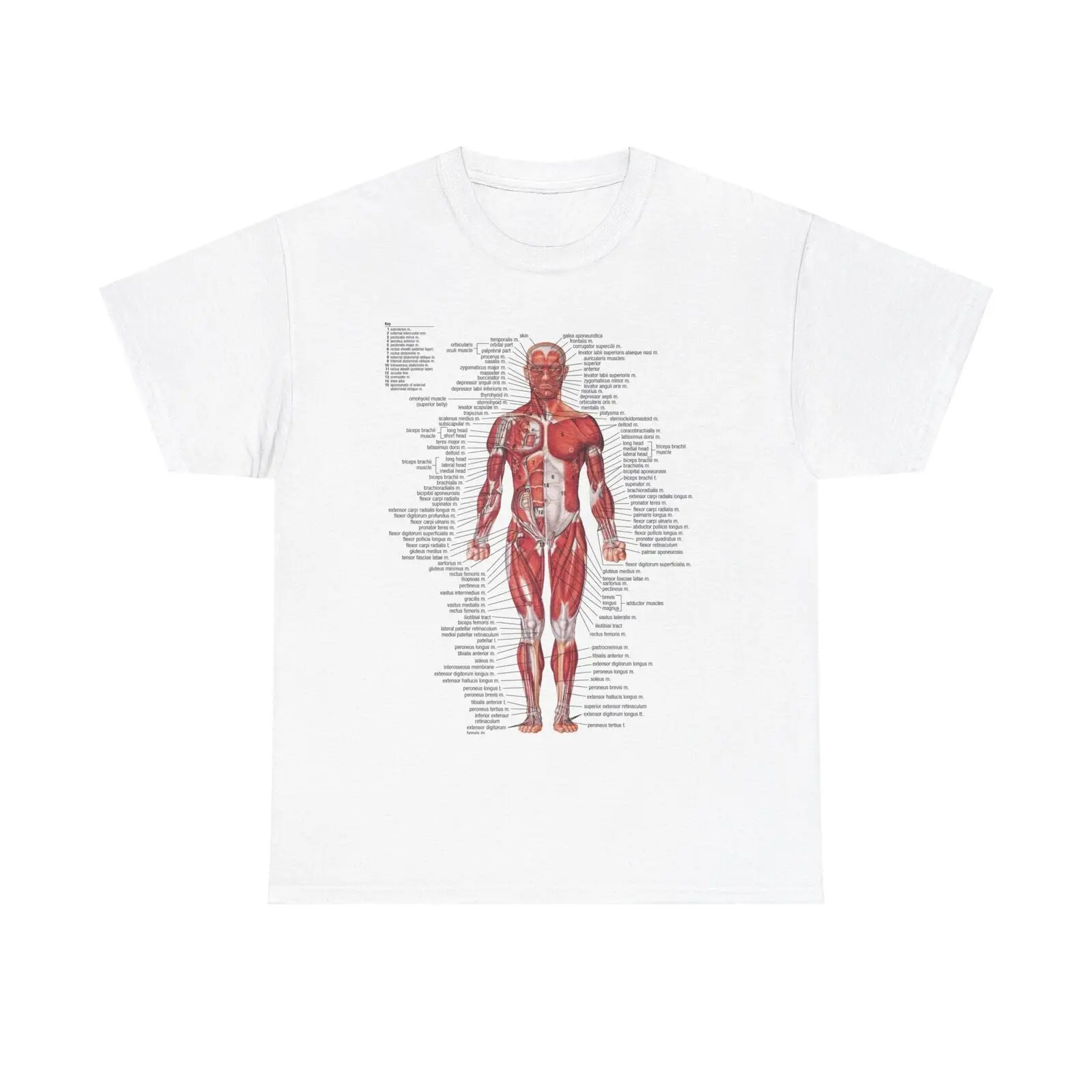 Anatomical Chart T-Shirt \