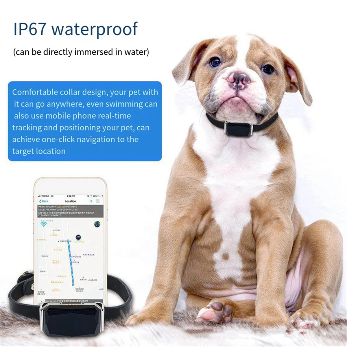 Smart GPS Waterproof Pet Locator GPS Pet Tracker Real Time Tracking With IP67 Waterproof For Pet
