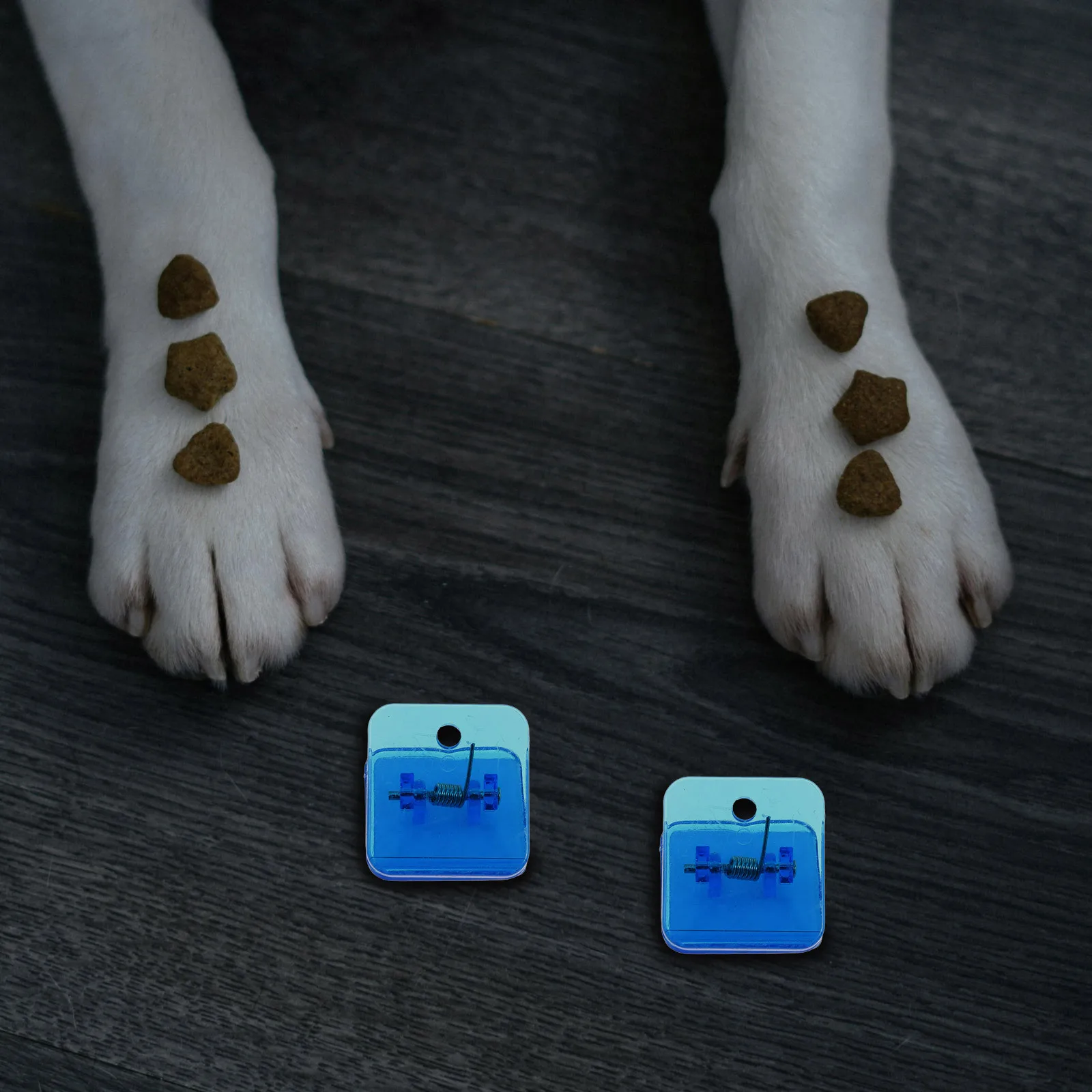 

6Pcs Wall Light Mounting Bracket Semi-I-Beam Arc Edge Design for Chandeliers Sconces Ceiling Flush Mount Stability Enhancement