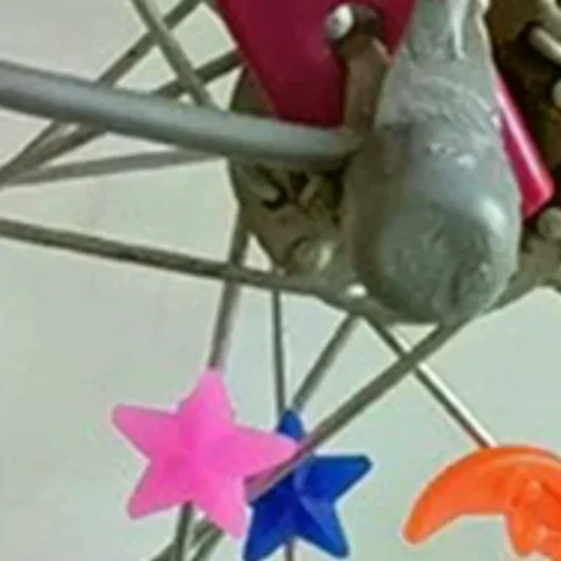 

Spoke Beads Bicycle Wheel Decoration Bicycle Spoke Clips Bicycle Round Clips