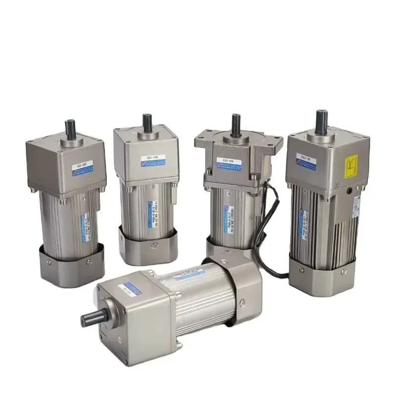 15W Single Phase AC Induction Fan Motor 220V Micro Gear Motor With Speed Governor For Industrial Equipment High Torque