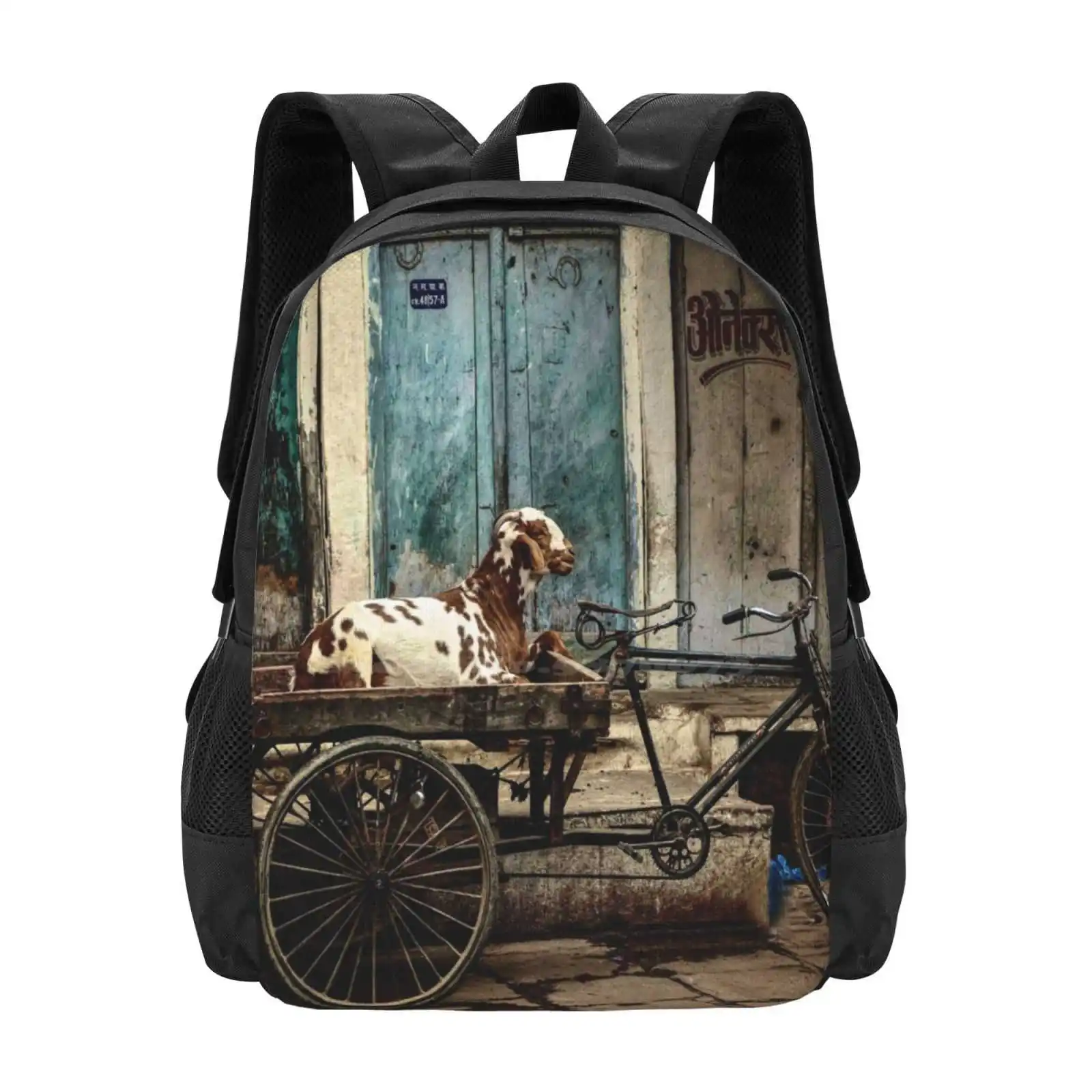 

Goat On Wheels Pattern Design Bagpack School Bags Goats Animals Street Valerie Rosen India Varanasi Travel South Asia Sold