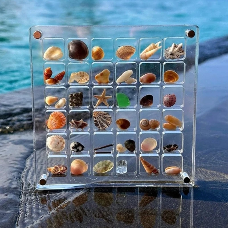 Decorative Box 36/64/100 Grids Seashells Holder Practical Seashells Storage Case