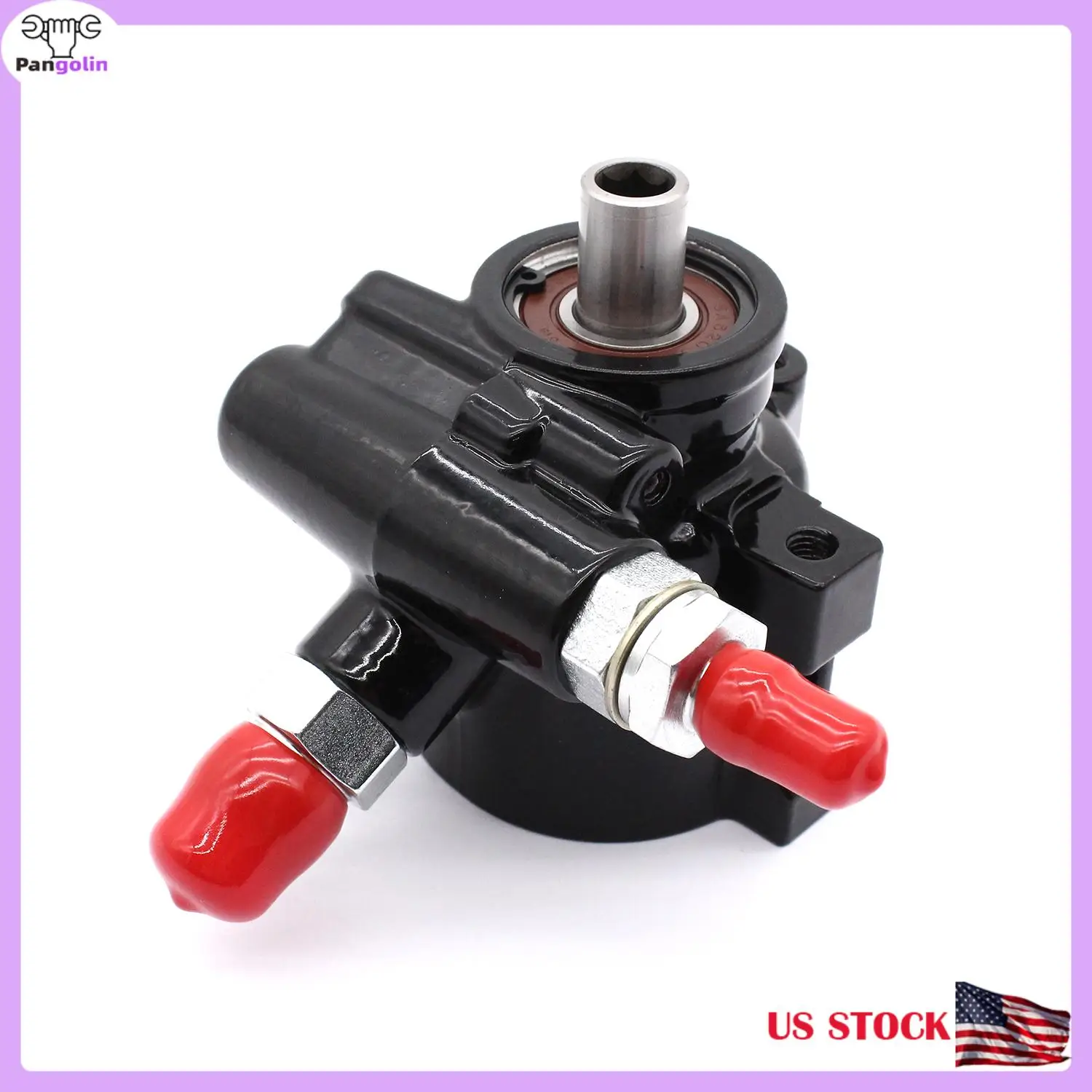 

Pangolin Remote Power Steering Pump Black For Chevy GM 1980-2001 Saginaw TC Type 2