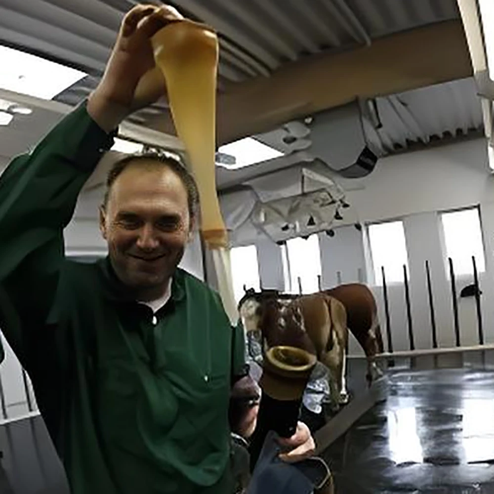 1 Juego de Kit de recolección de Semen de ganado, inseminatio2 Artificial, dispositivo de recolección de esperma, vaca, Bovide, buey, toro, Rancho, suministros de herramientas veterinarias