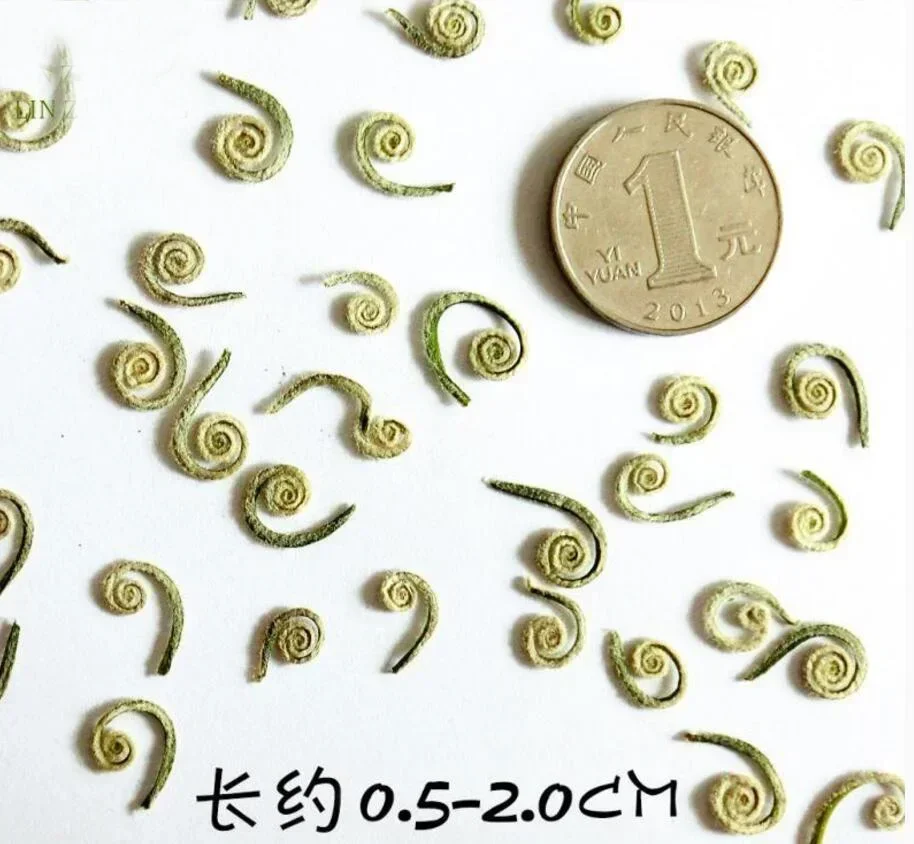 120pcs Dried Fern Fruits Plants Herbarium For Jewelry Postcard Photo Frame DIY Project Making Accessories