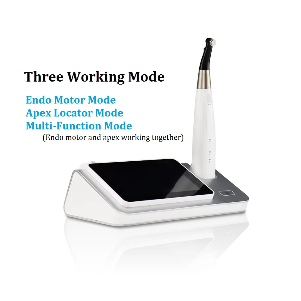 COXO C-SMART-I PILOT Dental Endo Motor large screen touch host with contra angle head dental root canal treatment Instrument