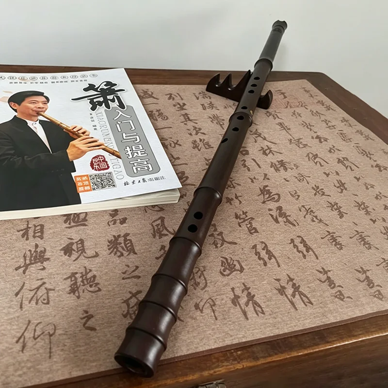 G/F Key Resin Xiao 8 Hole Tradition Professional Xiao Detachable Portable Beginner Vertical Flute Chinese Woodwind Instruments