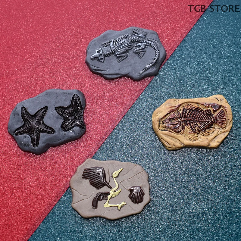4 pezzi/set mini dinosauro fossile modello simulazione miniature artigianato decorazioni micro paesaggio casa delle bambole ornamento giocattolo
