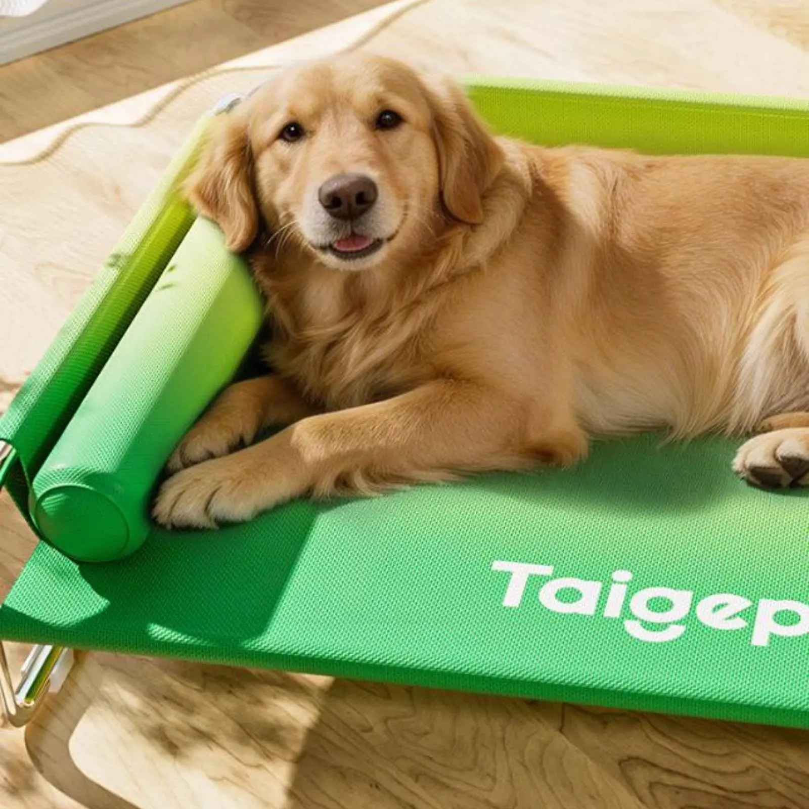 stainless-steel-dog-bed-washable-elevated-dog-bed-pet-furniture-long-lasting-cooling-for-large-dogs